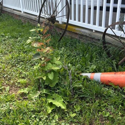 Upon inspection, we found the side of the porch eroding, likely due to water runoff and periods of wet and dry conditions. As rainwater and snow impacted the sides of the porch, they gradually washed it away and weakened the soil supporting it underneath.