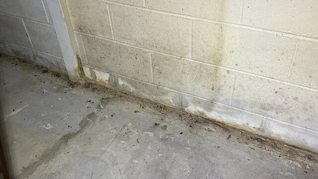 Water Intrusion on Cinder Block Wall