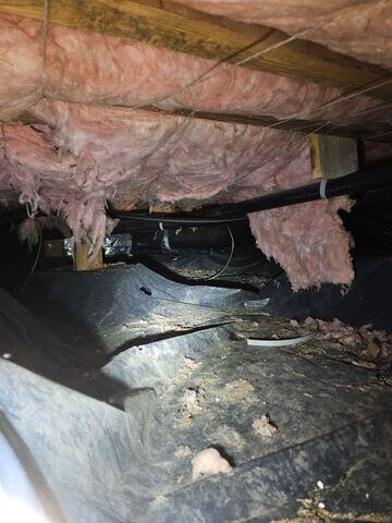 Dirty Crawl Space