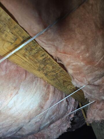 Mold Growing On The Subfloor