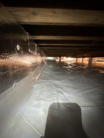 Crawl Space