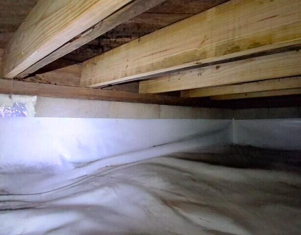 We Always Leave Room for Termite Inspections