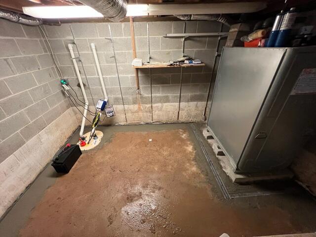 TripleSafe Sump Pump