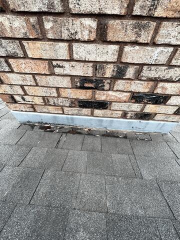 Damaged shingles
