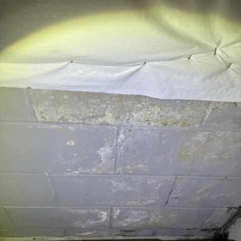 Damaged Basement Walls