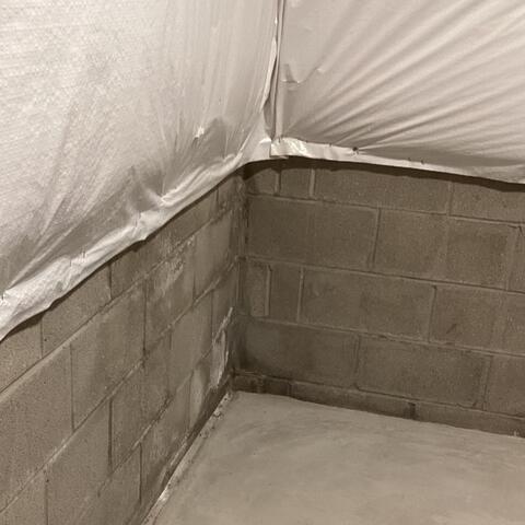 Damp Basement Corner