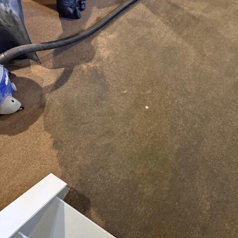 Soaked Basement Carpets