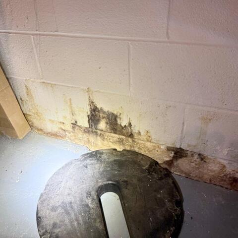 Basement Walls Ruined by Water
