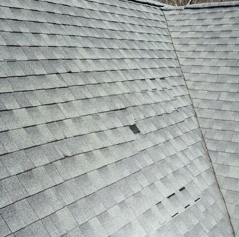 Visible Shingle Wear