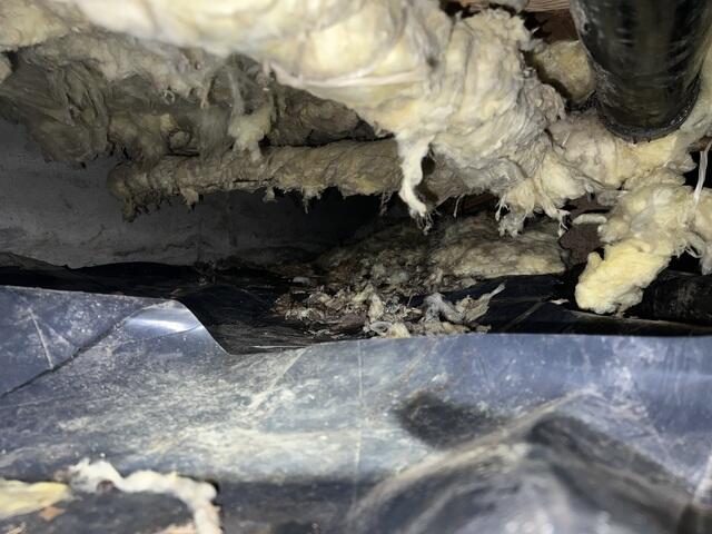 Fallen Fiberglass Insulation