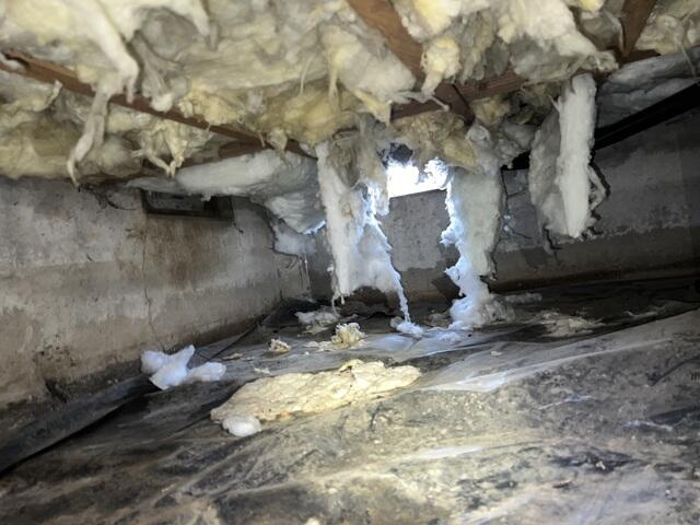Open Vent