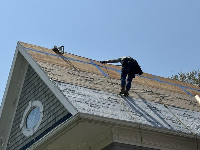 Building Protection Under the Shingles