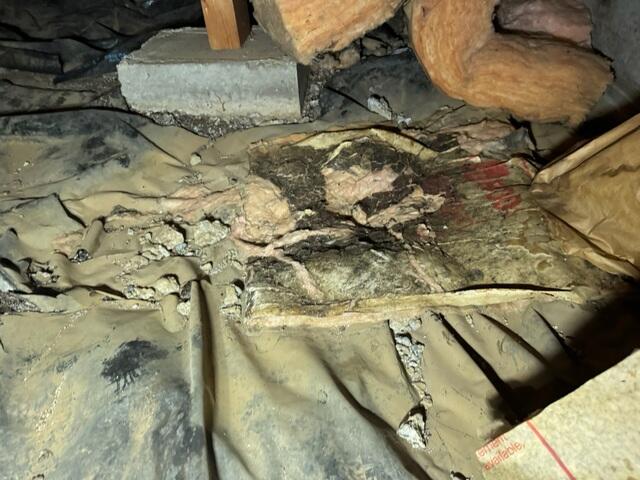 Crawl Space With Evidence of Rodents