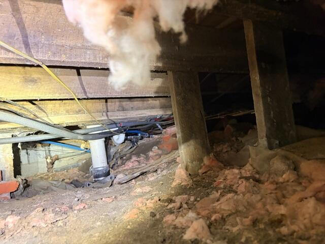 Crawl Space During Inspection