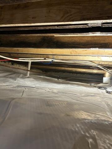 Crawl Space Sealed