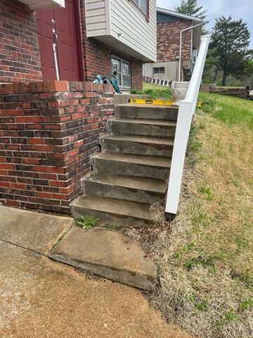 Stairs Before Woods