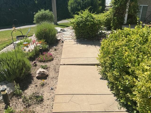 Uneven Front Walkway Before Concrete Repair