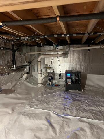CleanSpace