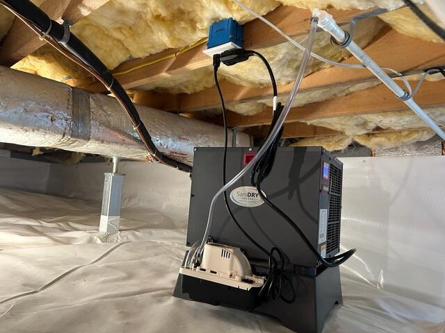 Dehumidifier