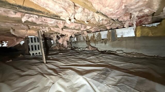 Crawl Space Before