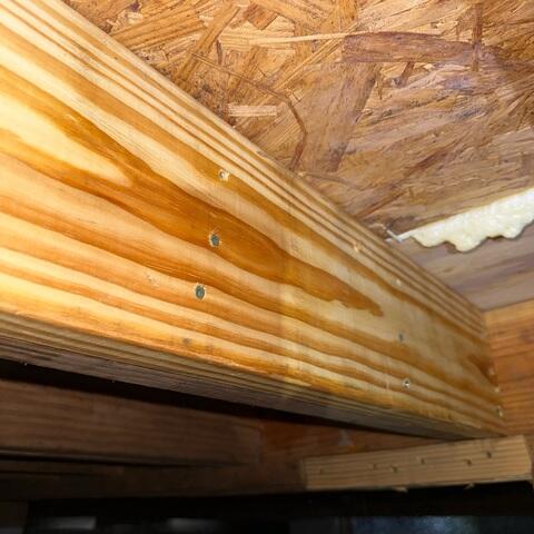 Sister Joist