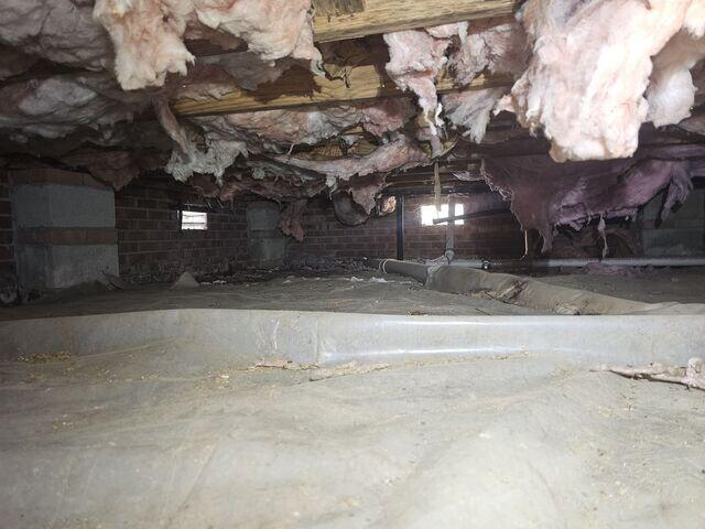 Before image of the crawl space