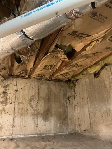 Fiberglass Falling Down