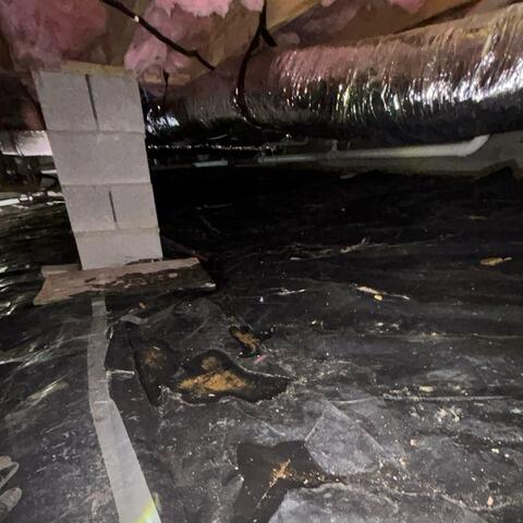 Wet Dirty Crawl Space