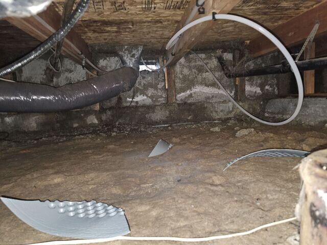 Dirty, Moldy Crawl Space