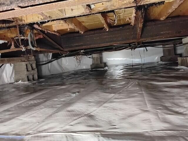 CleanSpace in a Crawl Space