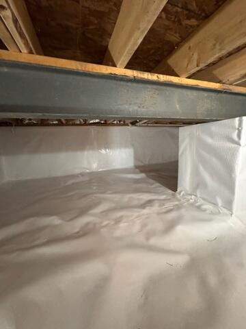CleanSpace Encapsulation Liner