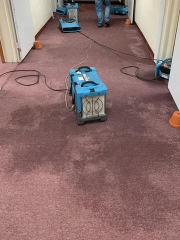 Commercial Water Mitigation & Removal