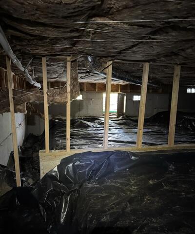 Musty Crawl Space