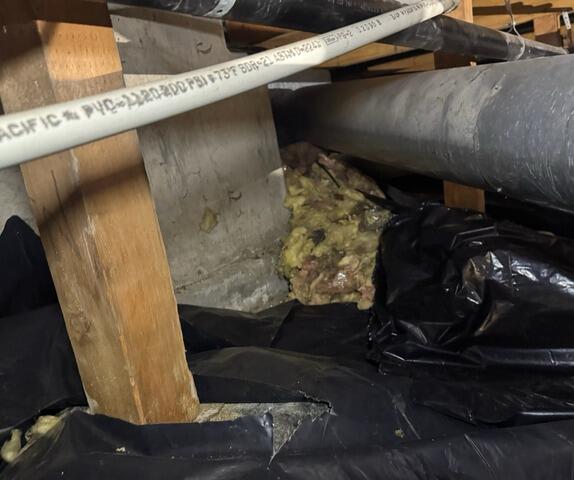 Dirty Crawl Space