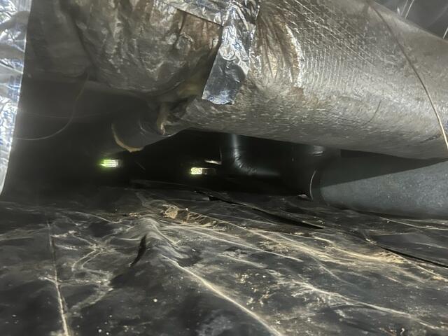 Crawl Space During Inspection