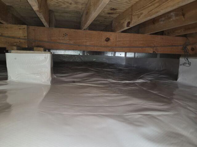 CleanSpace
