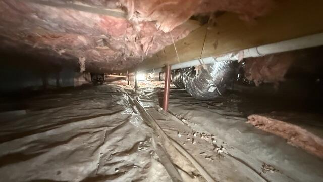 Crawl Space Before