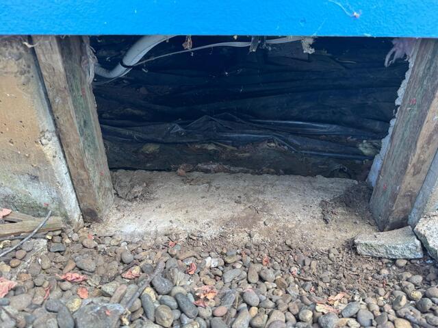 Old Crawl Space Entryway