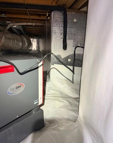 Sedona Sani Dry Dehumidifier
