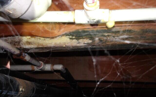 Mold, Rust, and Condensation