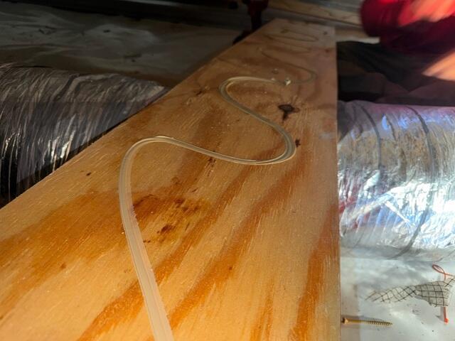 Floor Joist Repair