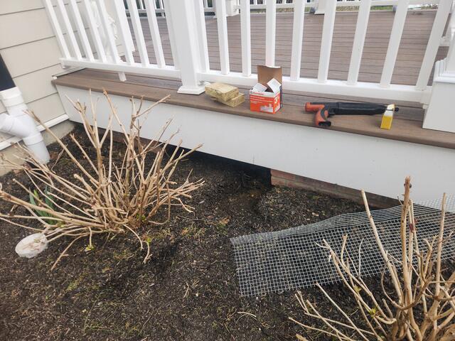 Lot of Exposed Areas