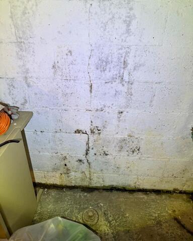 Molding and Damaged Basement Wall