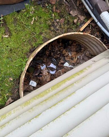 Clogged Window Wells Outside