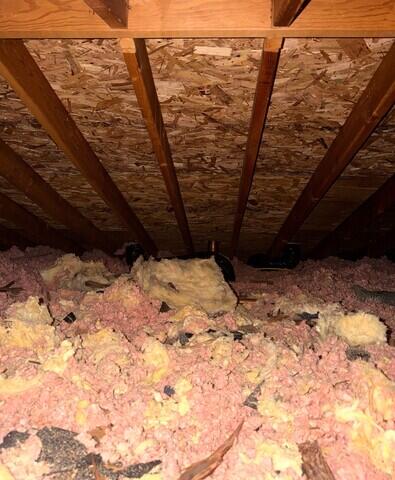 Old, Dirty Insulation