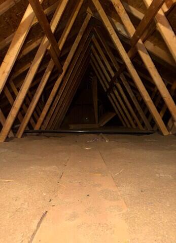 Old Insulation