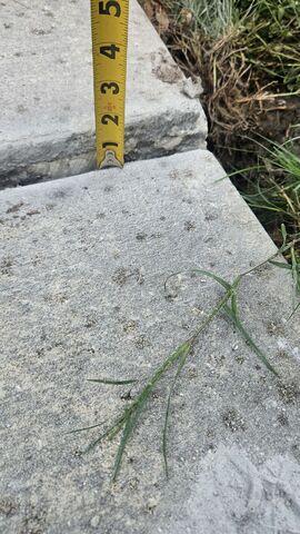Concrete Trip Hazard