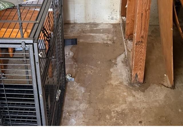 Water Stain