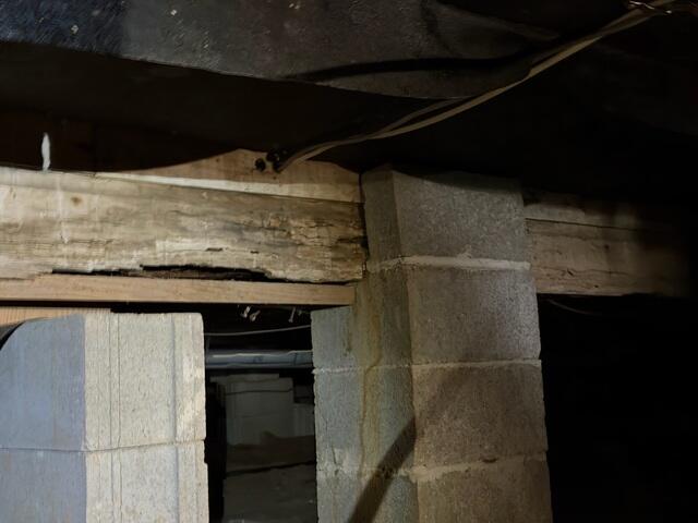 Wood Rot