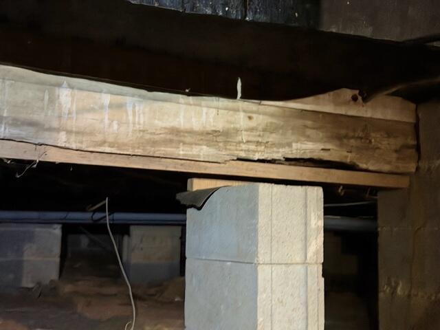 Rotting Floor Joists